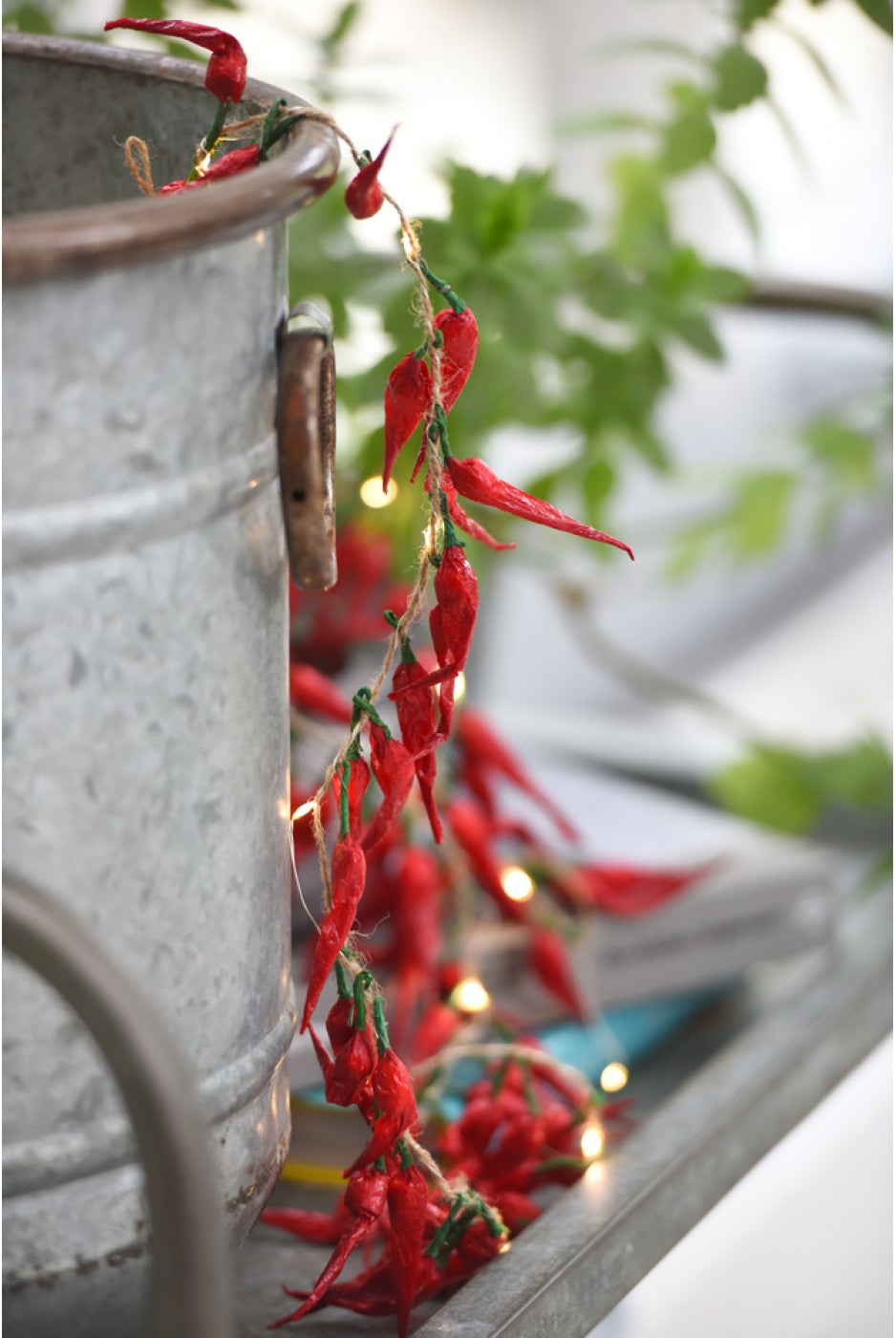 Red pepper store lights