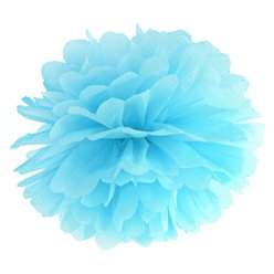 Turquoise Pom Pom